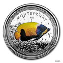 2021 モントセラト 1 オンス シルバー ブルー ガードルド エンゼルフィッシュ (色付き) - SKU#2483072021 Montserrat 1 oz Silver Blue Girdled Angelfish (Colorized) - SKU#248307