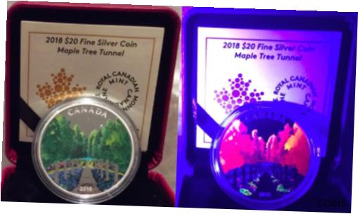 ڶ/ʼݾڽա ƥ    [̵] 2018 Maple Tree Tunnel $20 1OZ Pure Silver Proof Canada Coin Glow-in-Dark