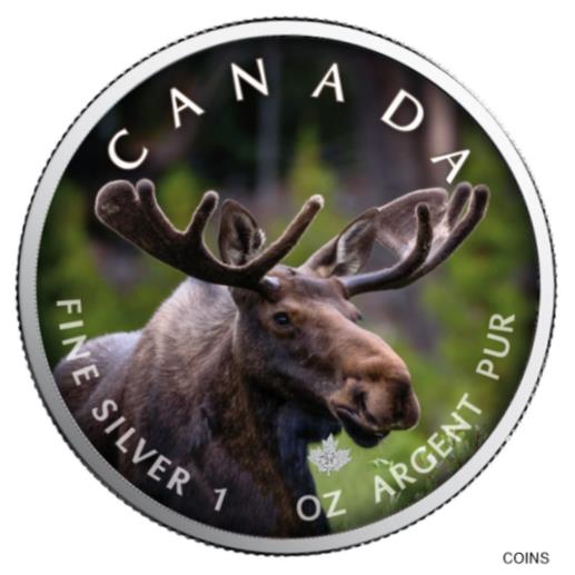 ڶ/ʼݾڽա ƥ  Canadas Wildlife 2021 Moose Maple Leaf 1 OZ ...