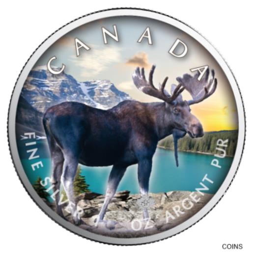 ڶ/ʼݾڽա ƥ    [̵] Trails of Wildlife 2021 Moose ...