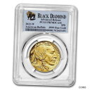 【極美品/品質保証書付】 アンティークコイン 金貨 2022-W 1 oz Proof Gold Buffalo PR-70 PCGS (AR, Black Diamond) - SKU#252128 [送料無料] #got-wr-012377-163