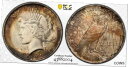 素敵な色合い 1923 P MS 63 ピース シルバー ダラー PCGS 認定グレード OCE 625Nicely TONED 1923 P MS 63 Peace Silver Dollar PCGS Certified Graded OCE 625