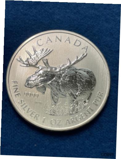 ڶ/ʼݾڽա ƥ    [̵] 2012 Canada Moose 5 Dollars 1 ...
