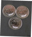 ץʡɥ꥽㤨֡ڶ/ʼݾڽա ƥ    [̵] Three - 2012 - 1 OZ .9999 Pure Silver Moose - Wildlife Series - RCMפβǤʤ82,250ߤˤʤޤ