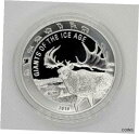 ץʡɥ꥽㤨֡ڶ/ʼݾڽա ƥ    [̵] 2019 Republic of Ghana 1 oz Silver Great Horn Megaloceros BU 999פβǤʤ49,000ߤˤʤޤ