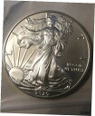 yɔi/iۏ؏tz AeB[NRC RC   [] R4 - 2020 1 oz Silver American Eagle BU VG Condition