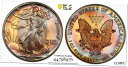 1990 アメリカン シルバー イーグル PCGS MS67 モンスター レインボー トーニング Trueview ベター デイト 1990 American Silver Eagle PCGS MS67 Monster Rainbow Toning Trueview Better Date