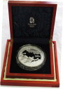 2008 シルバー 中国 300 元 プルーフ 1 キロ Kg パンダ シリーズ III NGC PR69 ウルトラ カメオ 2008 SILVER CHINA...