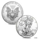 yɔi/iۏ؏tz AeB[NRC RC   [] Lot of 2 - 2021 1 oz Silver American Eagle $1 Coin BU