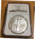 2002 シルバー イーグル NGC MS68 * 送料無料 2002 Silver Eagle NGC MS68 * FREE Shipping