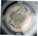 1881-S モーガン シルバー ダラー コレクター コイン NGC MS 66 送料無料 1881-S MORGAN SILVER DOLLAR COLLEC...