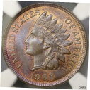 1908 インディアン ヘッド セント/ペニー レア トップ ロー ポップ 4/0 NGC MS 66+ RB 最高級の既知コイン 1908 INDIAN HE...