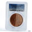 サハラウィ 100 ペセタ 先史時代の動物 タルボサウルス MS67 PCGS 銅貨 1993 Saharawi 100 pesetas Prehistoric Animals Tarbosaurus MS67 PCGS copper coin 1993 103,250円