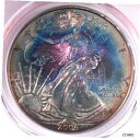 ץʡɥ꥽㤨֡ڶ/ʼݾڽա ƥ    [̵] 2006 American Silver Eagle - PCGS MS66 Amazing Toning!פβǤʤ113,750ߤˤʤޤ