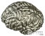 ڶ/ʼݾڽա ƥ    [̵] BRAIN 3D Shaped Cervello 2 Oz Moneta Argento 5$ Samoa 2023