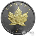  アンティークコイン コイン 金貨 銀貨  MAPLE LEAF Her Majesty In Memoriam Elizabeth II 1 Oz Silver Coin 5$ Canada 2022