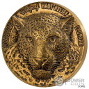 グリーフ レオパード ビッグ ファイブ モーコイ 1 オンス ゴールド コイン 100 フラン コートジボワール 2021 GREEF LEOPARD Big ...