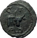 yɔi/iۏ؏tz AeB[NRC RC   [] GORDIAN III Deultum 238AD Ancient Roman Coin Forepart of BULL RARE i73188