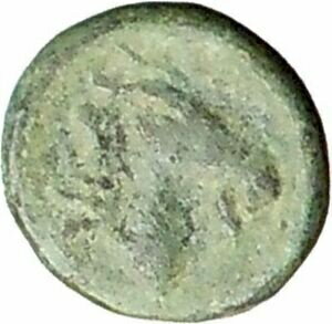 ڶ/ʼݾڽա ƥ    [̵] Aigai in AIOLIS 300BC Ancient Greek Coin APOLLO Goat's head i27668