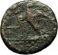 ڶ/ʼݾڽա ƥ Ų PERSEUS 179BC Macedonia King RARE R2 Authentic Ancient Greek Coin Eagle i71684 [̵] #ocf-wr-3203-1997