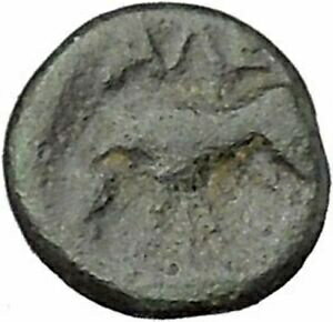 ڶ/ʼݾڽա ƥ Ų ALEXANDRIA TROAS 302BC Apollo Horse RARE Quarter Unit Ancient Greek Coin i45673 [̵] #ocf-wr-3203-2531