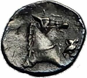 ڶ/ʼݾڽա ƥ    [̵] TARENTUM in CALABRIA 325BC Horse Head OWL Ancient Silver Greek Coin RARE i58957