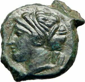 ڶ/ʼݾڽա ƥ    [̵] Syracuse in Sicily 357BC Ancient Greek Coin Female head Dolphin RARE i46642