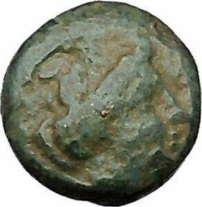 ڶ/ʼݾڽա ƥ Ų Lampsakos in Mysia 400BC Rare Ancient Greek Coin Female head Pegasus i46035 [̵] #ocf-wr-3203-3675