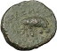 ڶ/ʼݾڽա ƥ Ų Antiochos III the Great 223BC RARE Ancient Greek Coin Elephant i46047 [̵] #ocf-wr-3203-3729