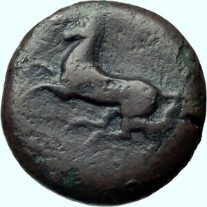 ڶ/ʼݾڽա ƥ    [̵] Syracuse Sicily 344BC Timoleon Litra Ancient Greek Coin ZEUS &HORSE i41552
