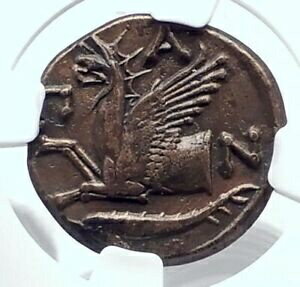 ڶ/ʼݾڽա ƥ    [̵] PANTIKAPAION BOSPORUS 310BC RARE R1 Ancient Greek Coin PAN &GRIFFIN NGC i80121