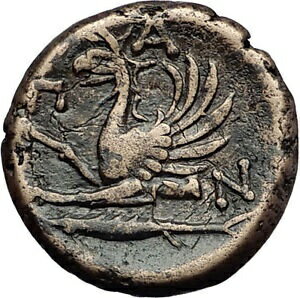 ڶ/ʼݾڽա ƥ    [̵] PANTIKAPAION BOSPORUS 310BC Satyr Pan Griffin Fish Rare R1 Greek Coin i58242