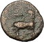 ڶ/ʼݾڽա ƥ Ų EPHESUS in IONIA 190BC Bee Stag Quiver Authentic Ancient Greek Coin i49713 [̵] #ocf-wr-3203-85