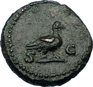  アンティークコイン コイン 金貨 銀貨  ANONYMOUS 81-196AD Rome Quadrans Authentic Ancient Roman Coin VENUS DOVE i65641