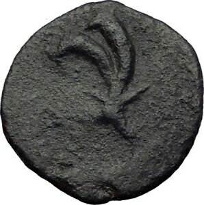 yɔi/iۏ؏tz AeB[NRC RC   [] GAZA in JUDEA 2-1CenBC RARE Authentic Ancient Greek Coin ZEUS CORNUCOPIA i64145