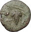 ڶ/ʼݾڽա ƥ Ų TEMNOS in AEOLIS 300BC Dionysus Grapes Authentic Ancient Greek Coin i46978 [̵] #ocf-wr-3307-1367