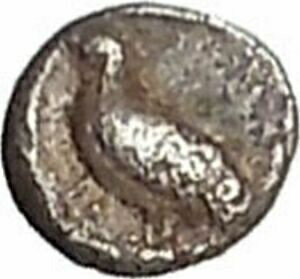  アンティークコイン コイン 金貨 銀貨  MILETOS in IONIA 6th-5thCenBC Tetartemorion Eagle Lion Silver Greek Coin i41506