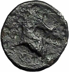 ڶ/ʼݾڽա ƥ Ų PHARSALOS in THESSALY 400BC Athena Horse Authentic Ancient Greek Coin i49215 [̵] #ocf-wr-3307-3190