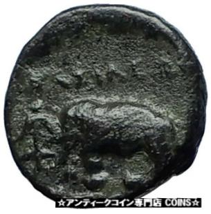 【極美品/品質保証書付】 アンティークコイン コイン 金貨 銀貨 [送料無料] ANTIOCHOS III the GREAT - Rare R1 Ancient Greek SELEUKID Coin ELEPHANT i69822