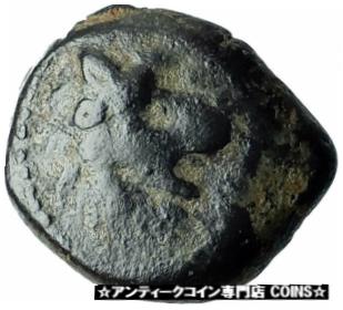 ڶ/ʼݾڽա ƥ Ų ANTIOCHOS VII Sidetes 138BC Seleukid Ancient Greek Coin NEMEAN LION CLUB i75730 [̵] #ocf-wr-3333-2465