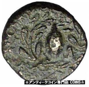 ڶ/ʼݾڽա ƥ Ų Elaia in Aiolis 340BC Authentic Ancient Greek Coin Athena Corn-grain i49545 [̵] #ocf-wr-3333-2658