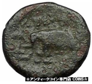 ڶ/ʼݾڽա ƥ Ų Antiochos III the Great 223BC RARE Ancient Greek Coin Elephant i50271 [̵] #ocf-wr-3333-3160