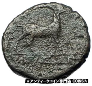 ڶ/ʼݾڽա ƥ    [̵] AIGAI in AEOLIS 2-1stCenBC Authentic Ancient Greek Coin APOLLO &GOAT i68384