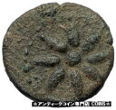 SOLOI as POMPEIOPOLIS in Cilicia 66BC 本物の古代ギリシャのコイン GRAPES i67985SOLOI as POMPEIOPOLIS in Cilicia 66BC Authentic Ancient Greek Coin GRAPES i67985