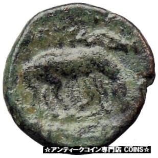 ڶ/ʼݾڽա ƥ Ų Thessalonica in Macedonia 197BC Ancient Greek Coin Athena War Horse Rare i30511 [̵] #ocf-wr-3439-2588