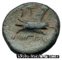 フェニキアのアラドス 本物の古代紀元前 206 年ギリシャ コイン ゼウスとガレー付き i67980ARADOS in PHOENICIA Authentic Ancient 206BC Greek Coin w ZEUS & GALLEY i67980(3)