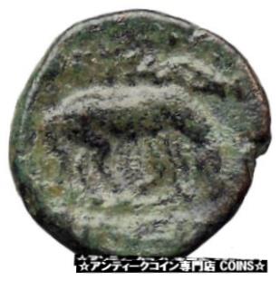 ڶ/ʼݾڽա ƥ Ų Thessalonica in Macedonia 197BC Ancient Greek Coin Athena War Horse Rare i30511 [̵] #ocf-wr-3442-4209