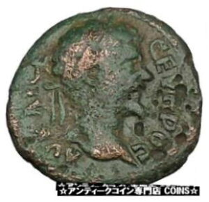 セプティミウス セブルス ニコポリス アド イストルム レア 古代ローマ コイン 全会一致 i48375SEPTIMIUS SEVERUS Nicopolis ad Istrum Rare Ancient Roman Coin Unanimity i48375