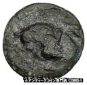 おそらく未公開の古代ギリシャの都市コイン雄牛の頭を持つ雄牛 Ca300BC i41414Possibly Unpublished Ancient Greek C...