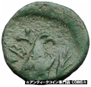  アンティークコイン コイン 金貨 銀貨  ABYDOS in TROAS 350BC Apollo & Eagle Ancient Greek Coin Pos UNPUBLISHED i31820